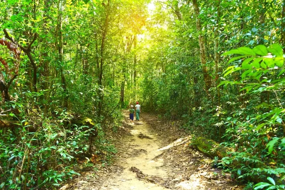 Mũi Gành Dầu